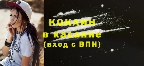 стаф Кулебаки