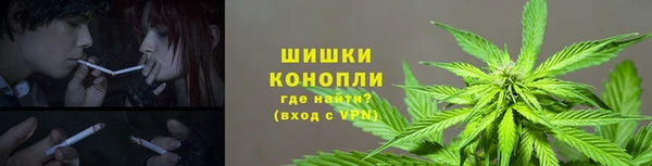 PSILOCYBIN Куйбышев