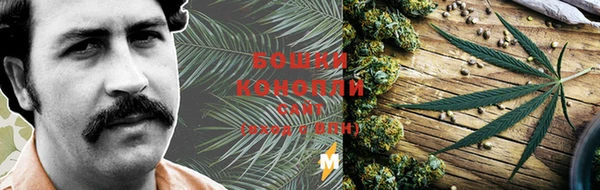 PSILOCYBIN Куйбышев