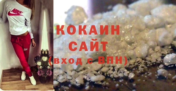 прущие грибы Козловка