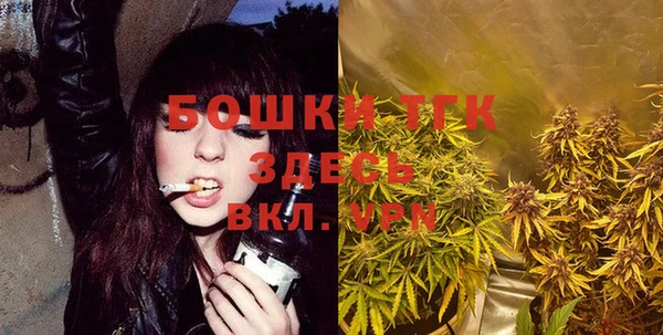PSILOCYBIN Куйбышев