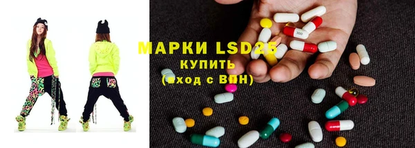 стаф Кулебаки