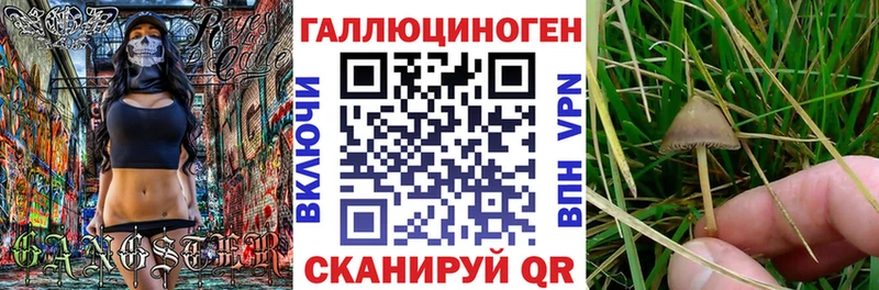 Псилоцибиновые грибы Magic Shrooms  Моршанск 