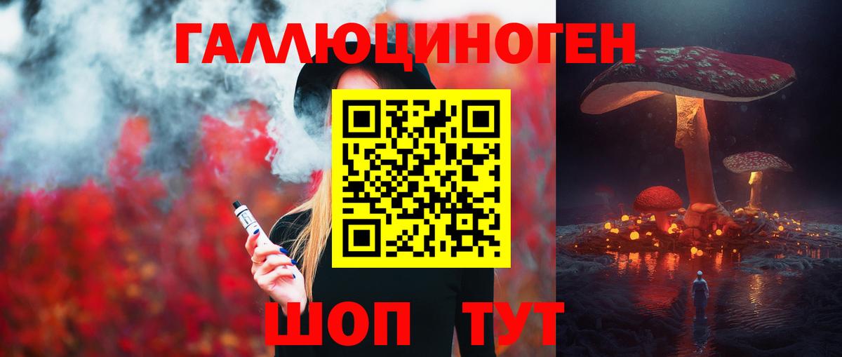 Моршанск  Псилоцибиновые грибы Cubensis  Вход с VPN 