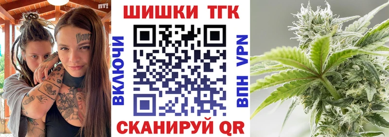 Бошки Шишки ГИДРОПОН  купить наркоту  Моршанск 